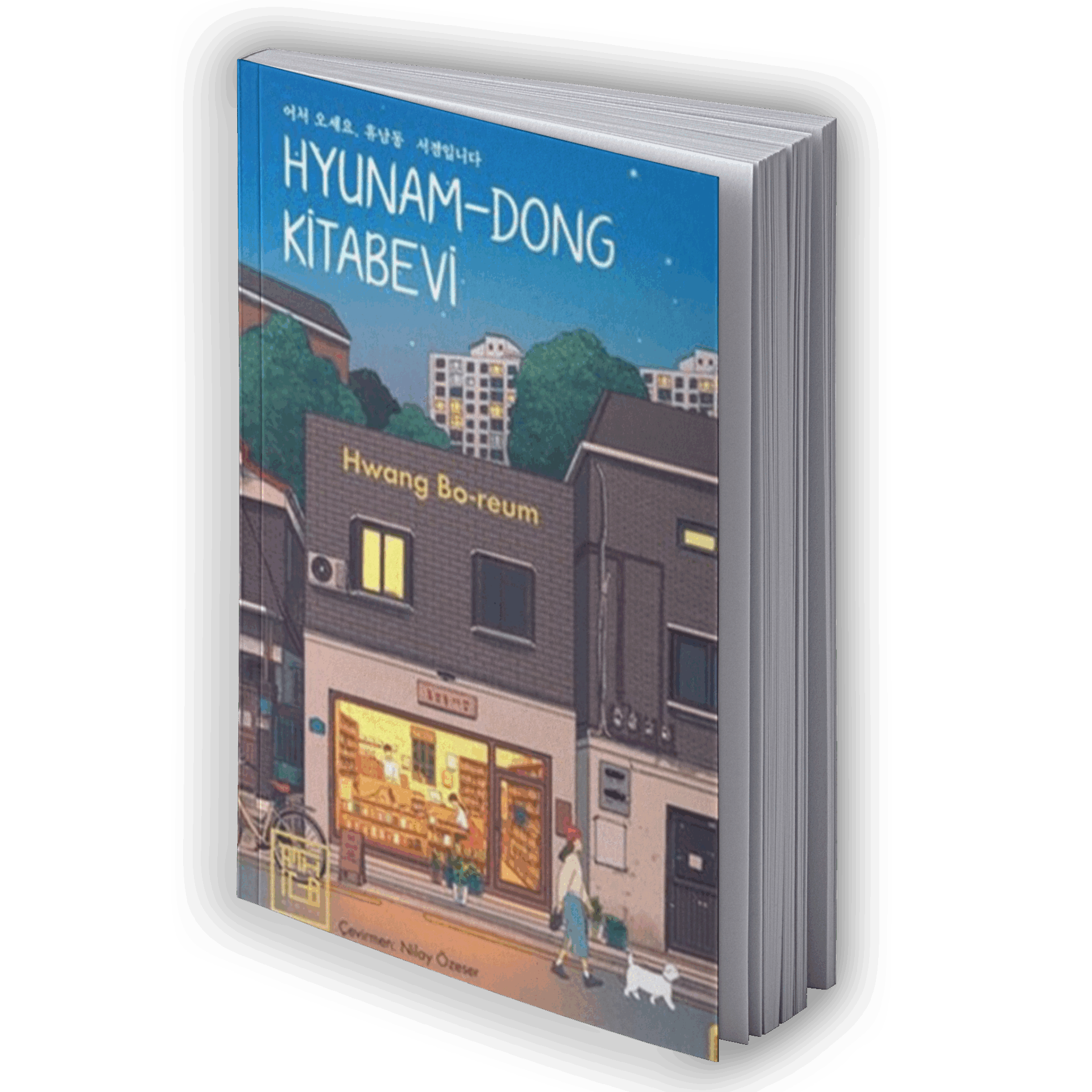 Hyunam - Dong Kitabevi