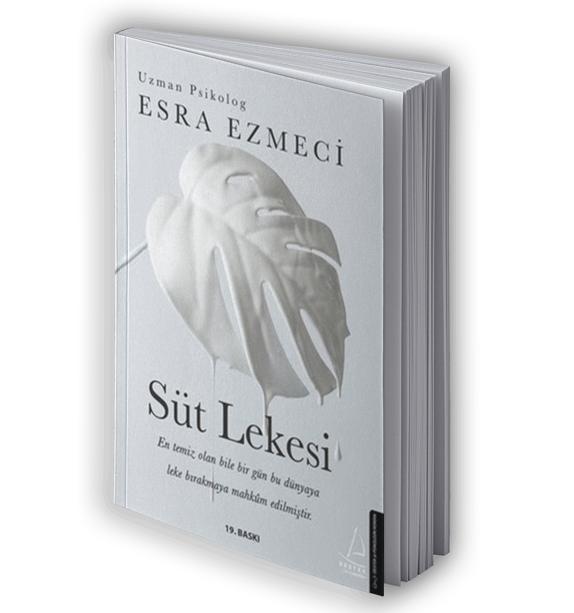 Süt Lekesi