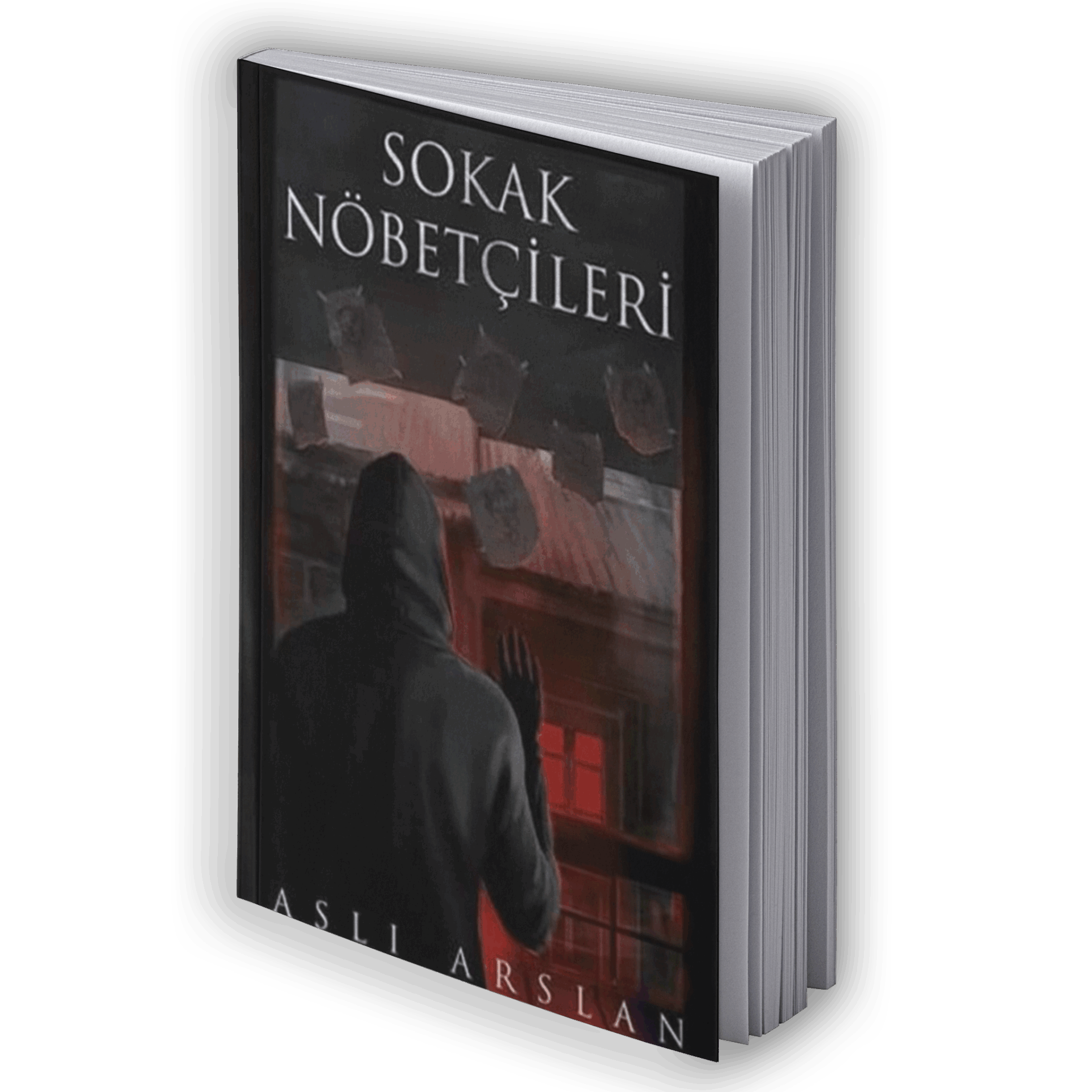 Sokak Nöbetçileri