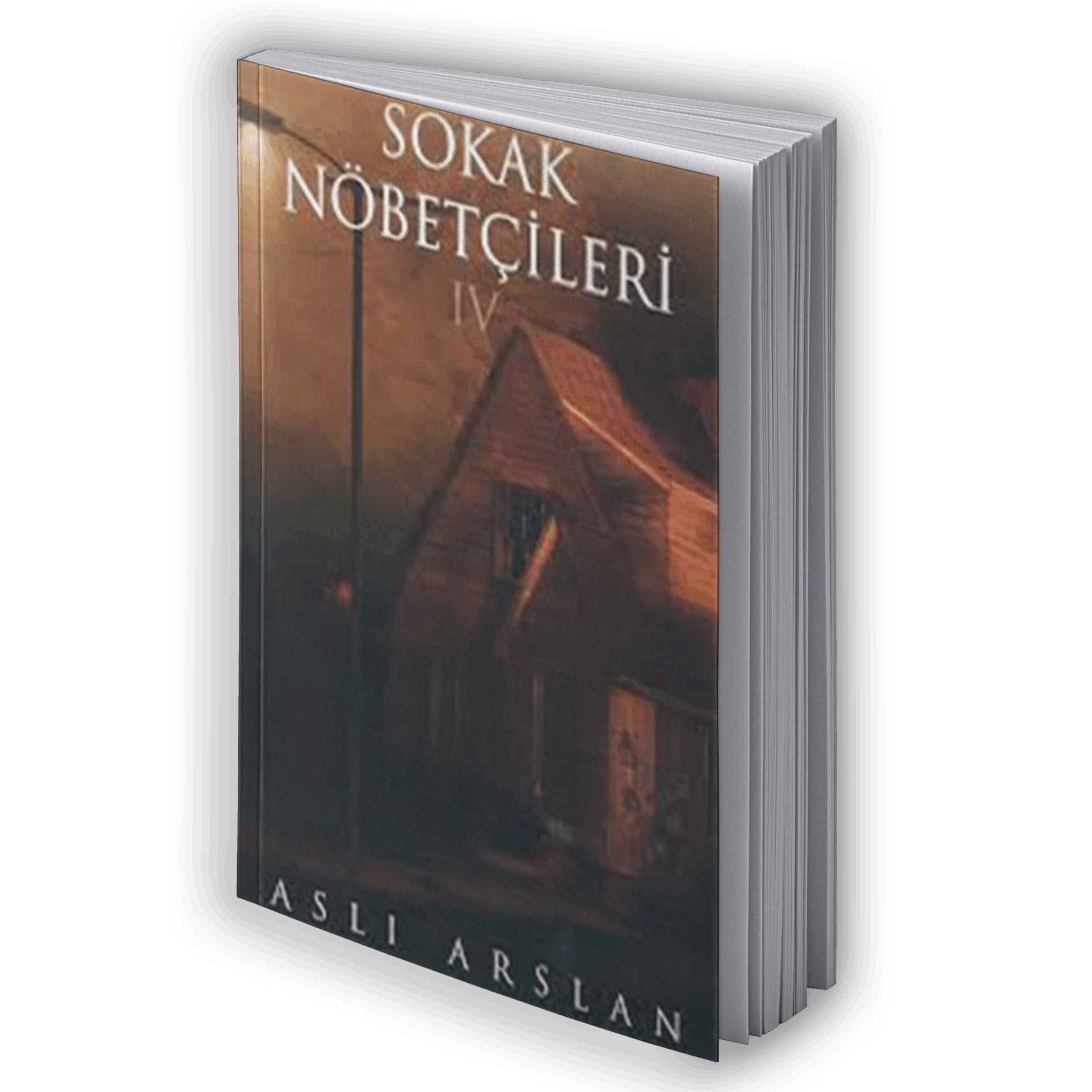 Sokak Nöbetçileri 4