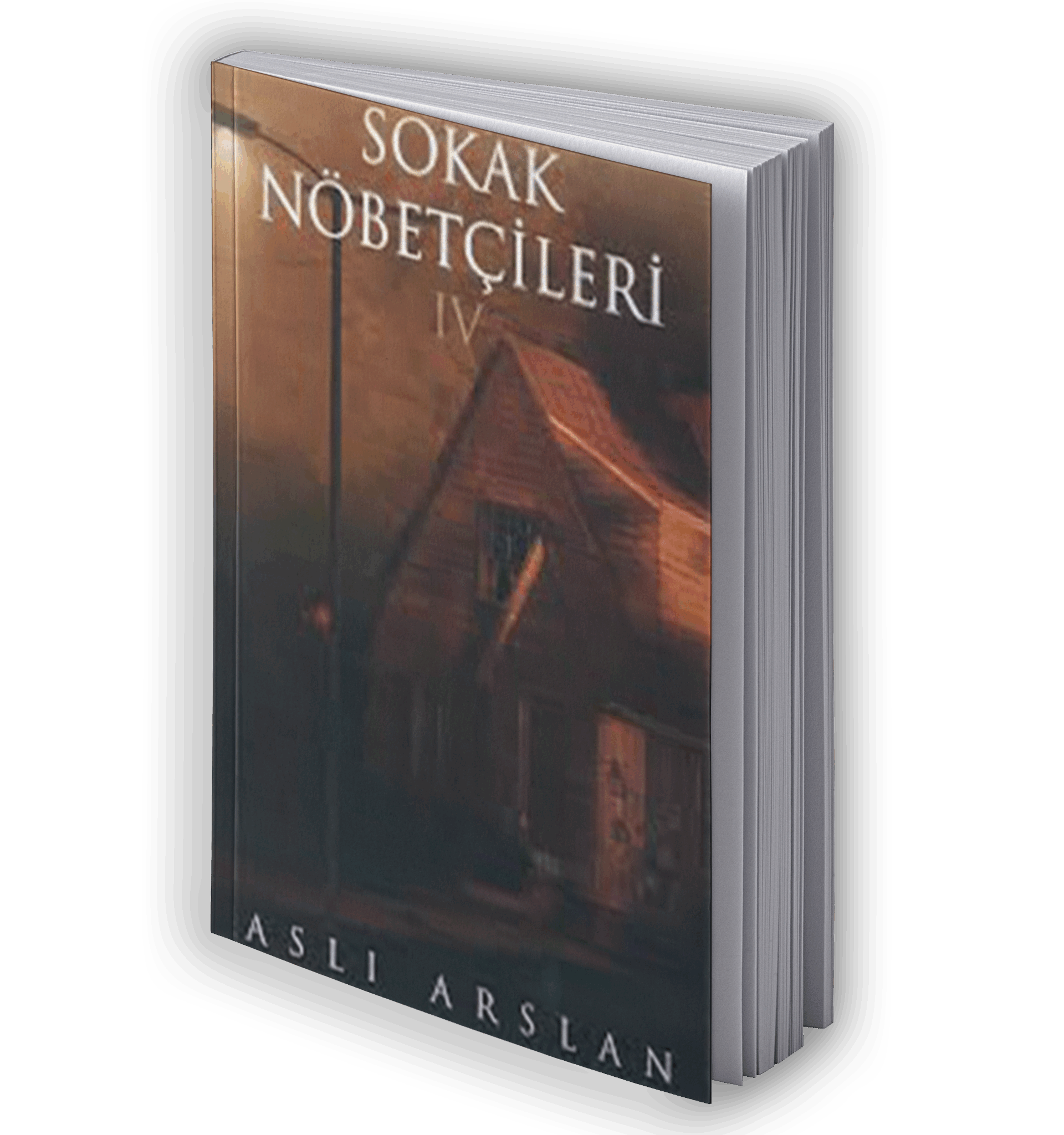 Sokak Nöbetçileri 4