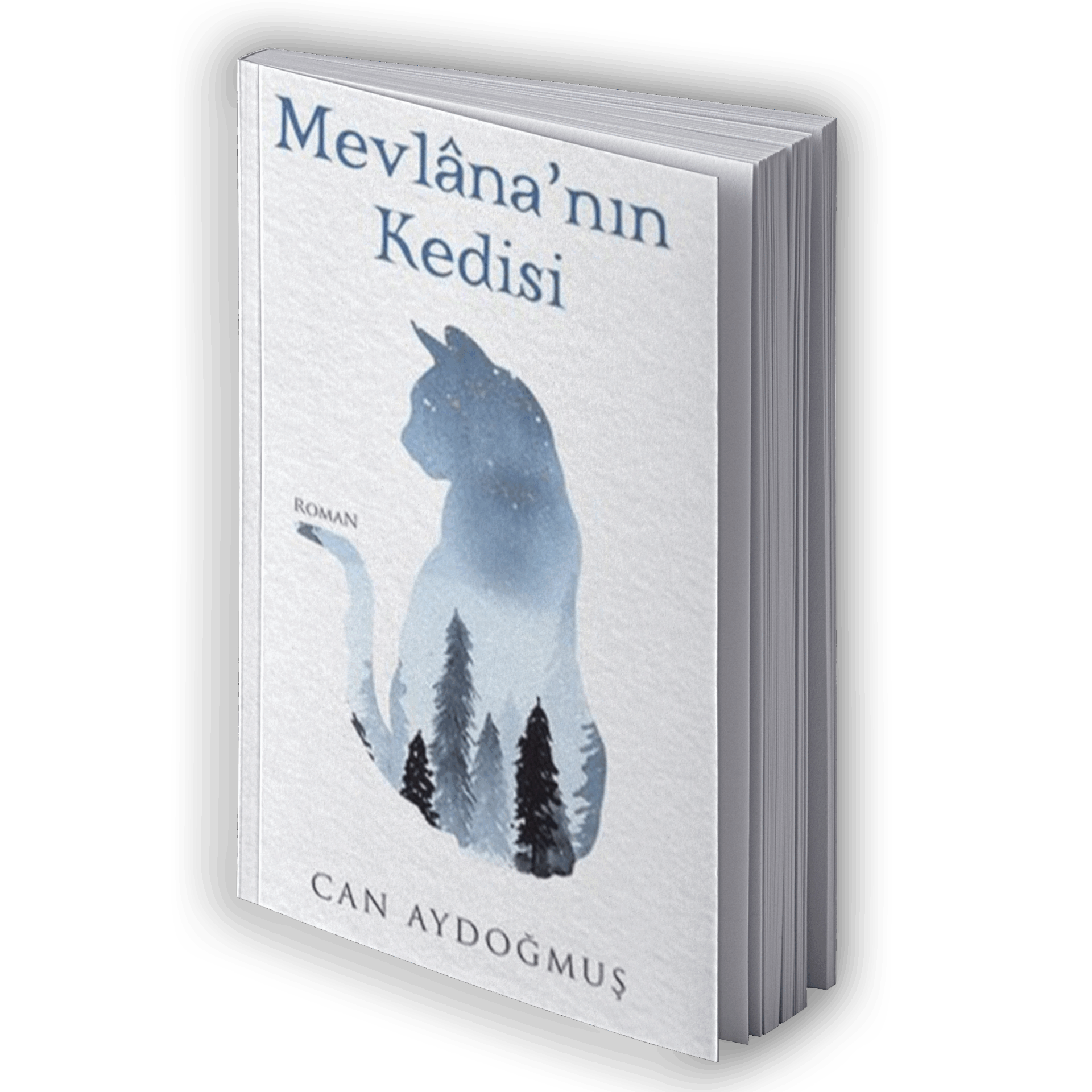 Mevlananın Kedisi