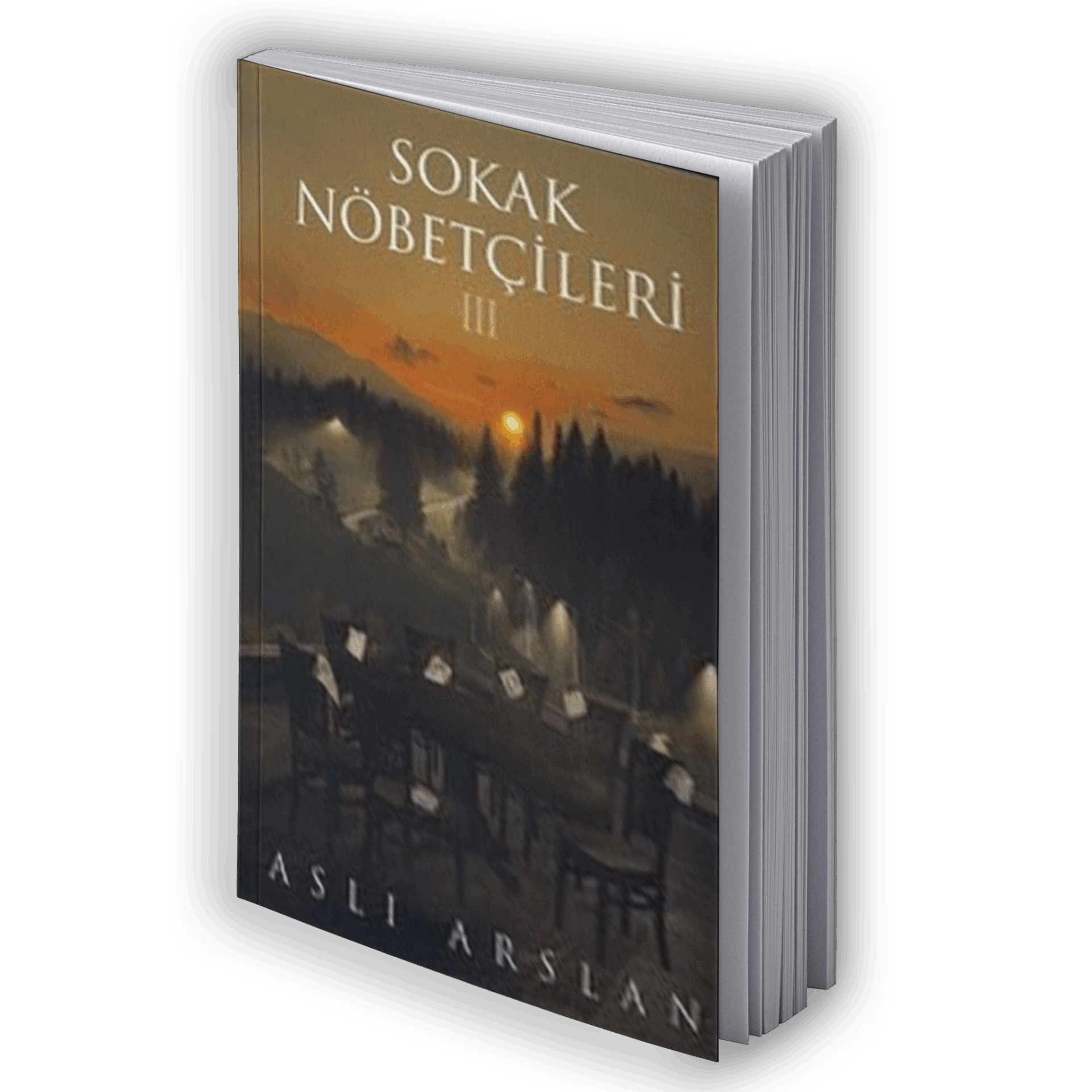 Sokak Nöbetçileri 3