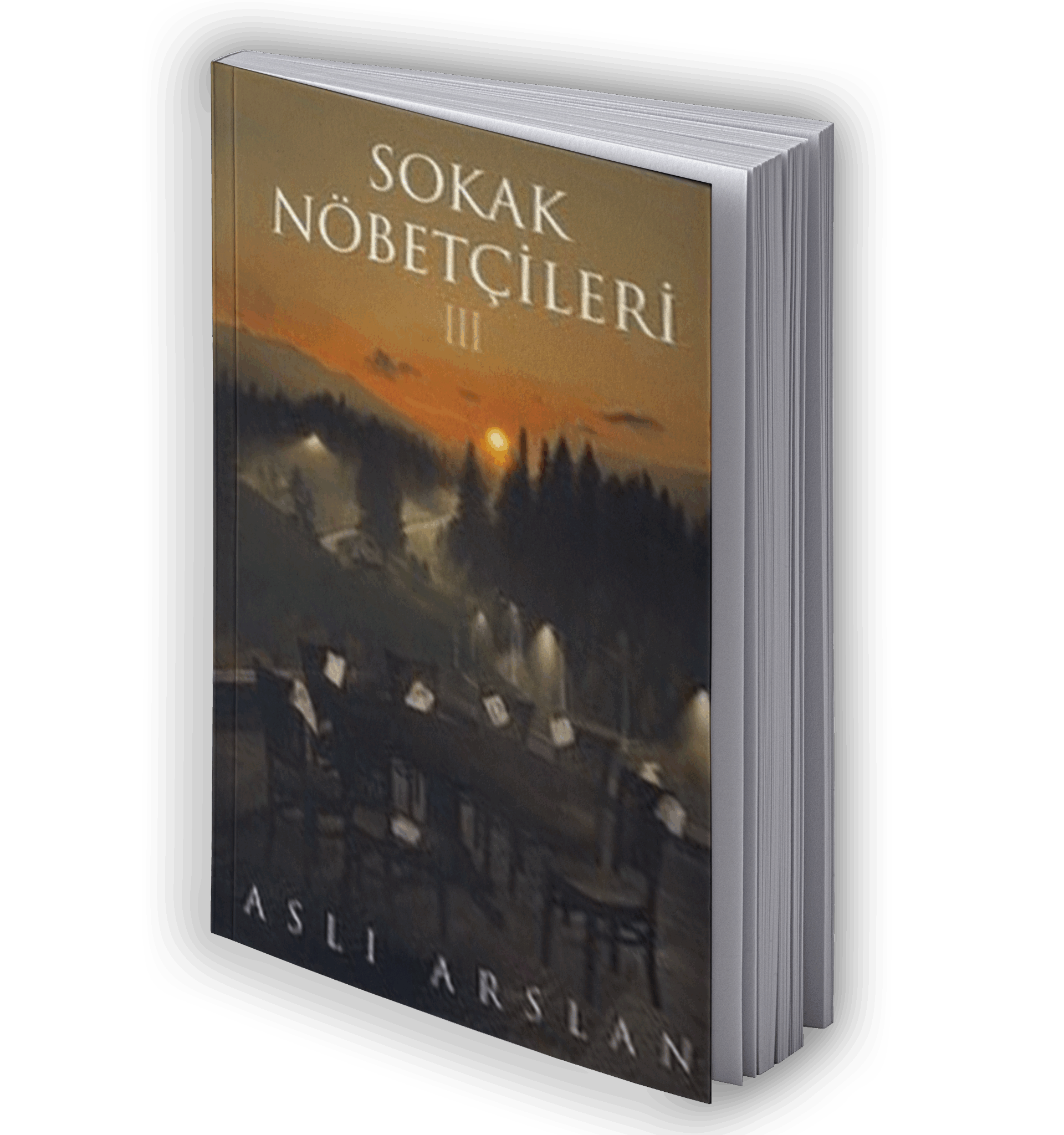 Sokak Nöbetçileri 3