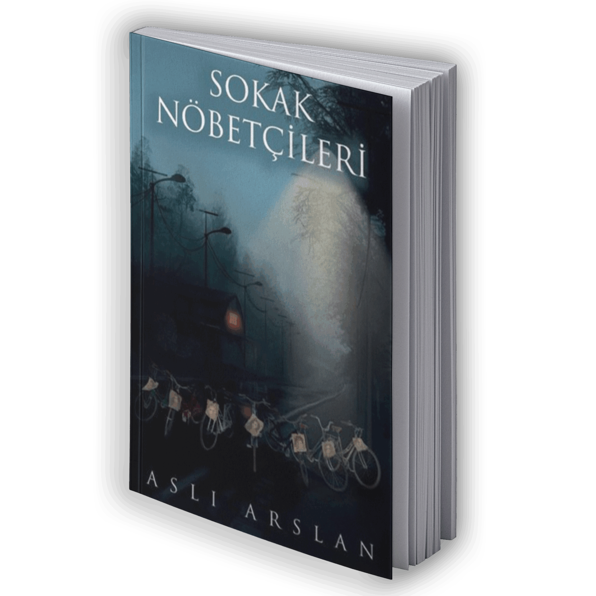 Sokak Nöbetçileri 2
