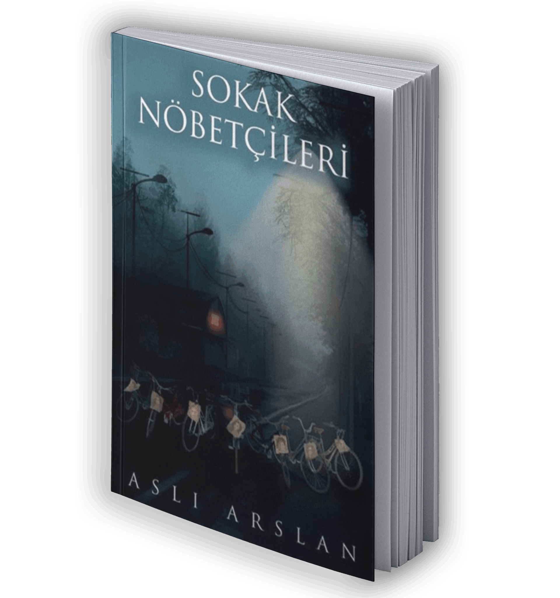 Sokak Nöbetçileri 2