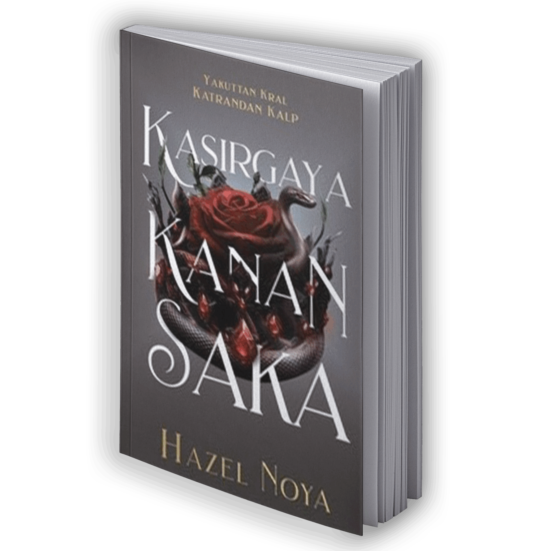 Kasırgaya Kanan Saka 1