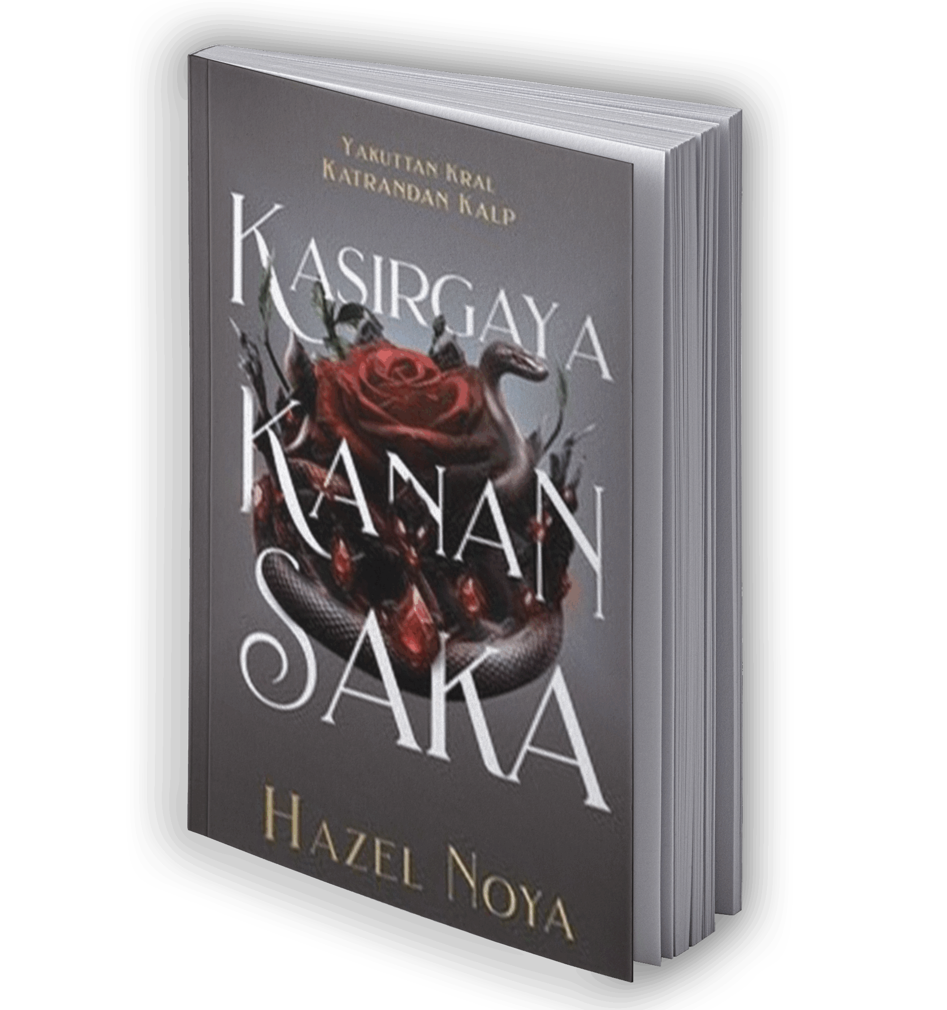 Kasırgaya Kanan Saka 1